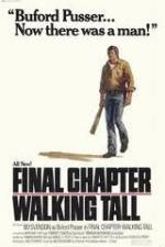 Watch Final Chapter Walking Tall 123netflix