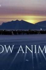 Watch Snow Animals 123netflix