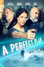 Watch A Perfect Plan 123netflix