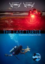 Watch The Last Turtle (Short 2019) 123netflix