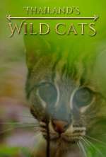 Watch Thailand's Wild Cats 123netflix