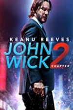 Watch John Wick Chapter 2: Wick-vizzed 123netflix