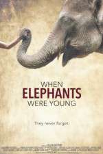 Watch When Elephants Were Young 123netflix