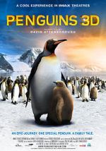 Watch Penguins 123netflix