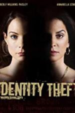 Watch Identity Theft 123netflix