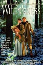 Watch Miracle in the Wilderness 123netflix
