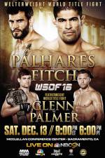 Watch World Series of Fighting 16 Palhares vs Fitch 123netflix