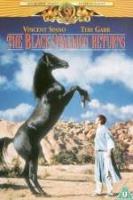 Watch The Black Stallion Returns 123netflix