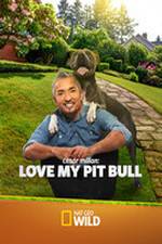 Watch Cesar Millan: Love My Pit Bull 123netflix