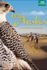 Watch Wild Arabia 123netflix