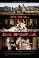 Watch Eisenstein in Guanajuato 123netflix