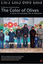 Watch The Color of Olives 123netflix