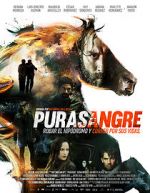 Watch Purasangre 123netflix