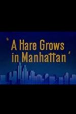 Watch A Hare Grows in Manhattan 123netflix