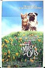 Watch Milo & Otis 123netflix