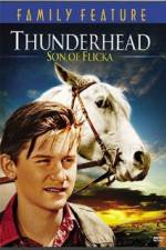 Watch Thunderhead - Son of Flicka 123netflix