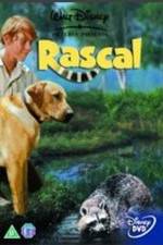 Watch Rascal 123netflix