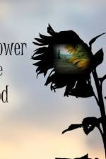 Watch The Sunflower and the Sun God 123netflix