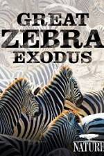 Watch Nature: Great Zebra Exodus 123netflix