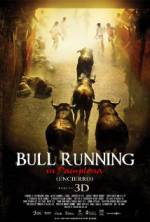 Watch Encierro 3D: Bull Running in Pamplona 123netflix