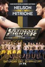 Watch The Ultimate Fighter 16 Finale Nelson vs Mitrione 123netflix