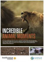 Watch Incredible Animal Moments 123netflix