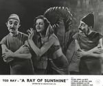 Watch A Ray of Sunshine: An Irresponsible Medley of Song and Dance 123netflix