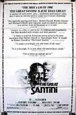 Watch The Great Santini 123netflix
