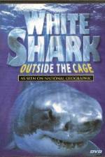 Watch National Geographic white shark:outside the cage 123netflix