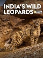 Watch India\'s Wild Leopards (Short 2020) 123netflix