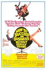 Watch How to Succeed in Business Without Really Trying 123netflix