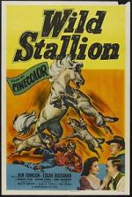 Watch Wild Stallion 123netflix