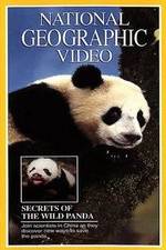 Watch Secrets of the Wild Panda 123netflix
