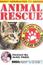 Watch Animal Rescue, Volume 2: Best Cat Rescues 123netflix