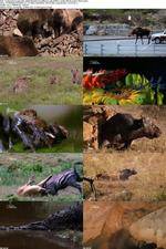 Watch National Geographic - World's Deadliest Lady Killers 123netflix