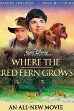 Watch Where the Red Fern Grows 123netflix