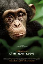 Watch Chimpanzee 123netflix