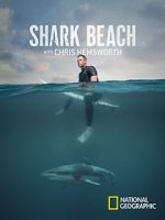 Watch Shark Beach with Chris Hemsworth (TV Special 2021) 123netflix