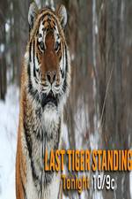 Watch Discovery Channel-Last Tiger Standing 123netflix