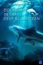 Watch Dolphins in the Deep Blue Ocean 123netflix