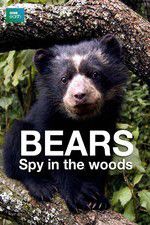 Watch Bears: Spy in the Woods 123netflix