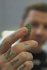 Watch Professor Green: Is It Time to Legalise Weed? 123netflix