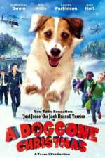 Watch A Doggone Christmas 123netflix