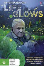 Watch Attenborough\'s Life That Glows 123netflix