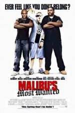 Watch Malibu's Most Wanted 123netflix