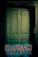 Watch It Lives in the Attic 123netflix