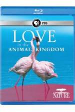 Watch Nature: Love in the Animal Kingdom 123netflix