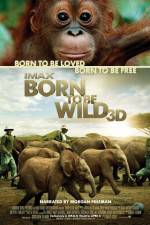Watch Born to Be Wild 123netflix