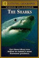 Watch National Geographic The Sharks 123netflix