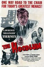 Watch The Hoodlum 123netflix